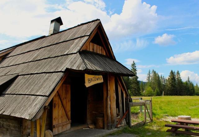 Apartament Bazatatry Swistak Zakopane Extérieur photo