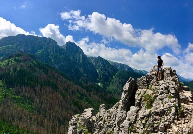 Apartament Bazatatry Swistak Zakopane Extérieur photo